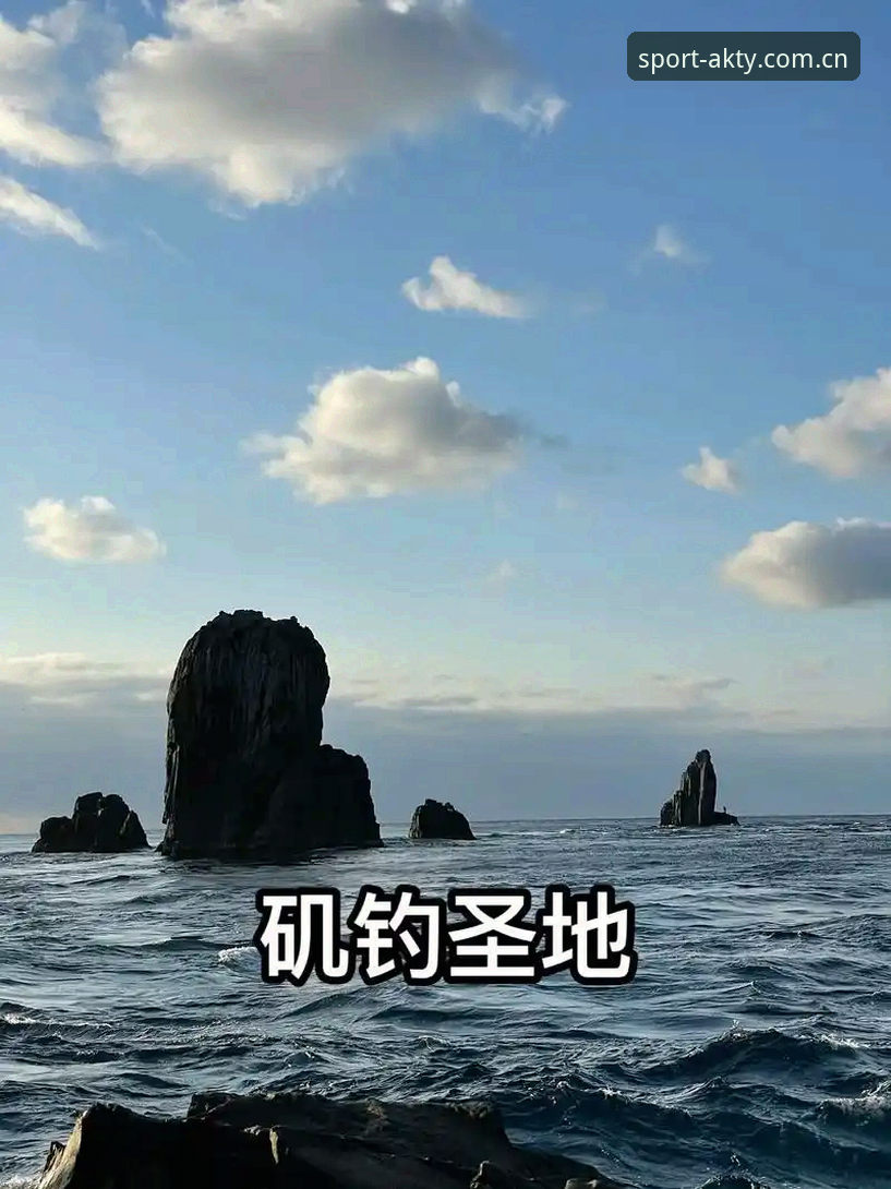 AK体育手机版功能详解 vs 传统体育平台：从用户真实反馈看功能差异
